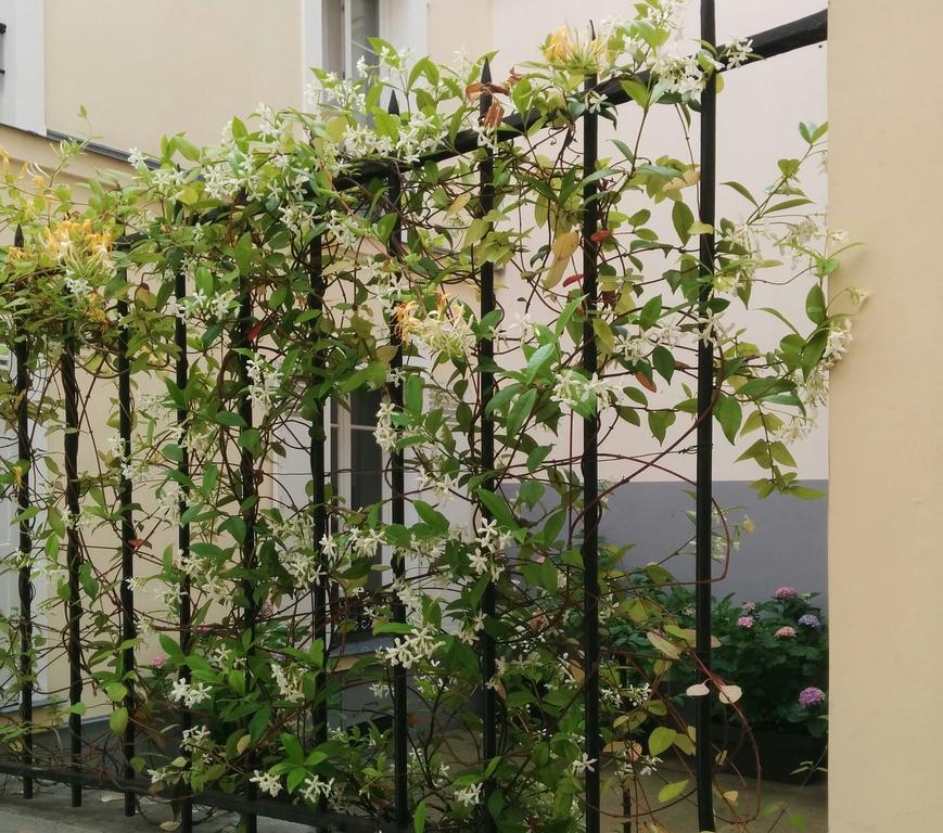 La Cour Du 5Eme - Chambre D'Hotes Παρίσι Εξωτερικό φωτογραφία